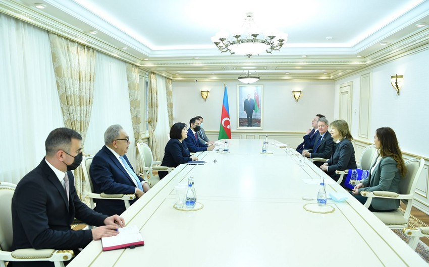 Azerbaijani parliament speaker meets UK PM Trade Envoy to Azerbaijan